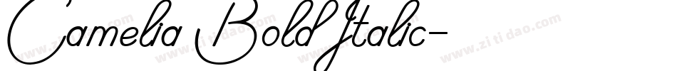 Camelia Bold Italic字体转换